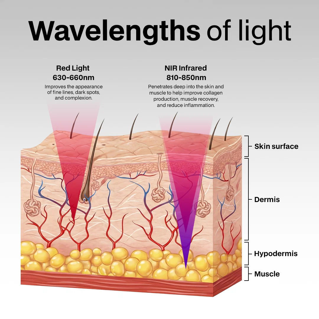The Nova: Desktop Red Light Panel with Near Infrared - Image 5